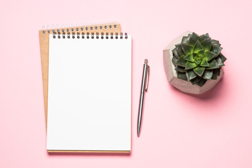 Top down view of a desk with two notebooks, a pen and a succulent sitting on it.